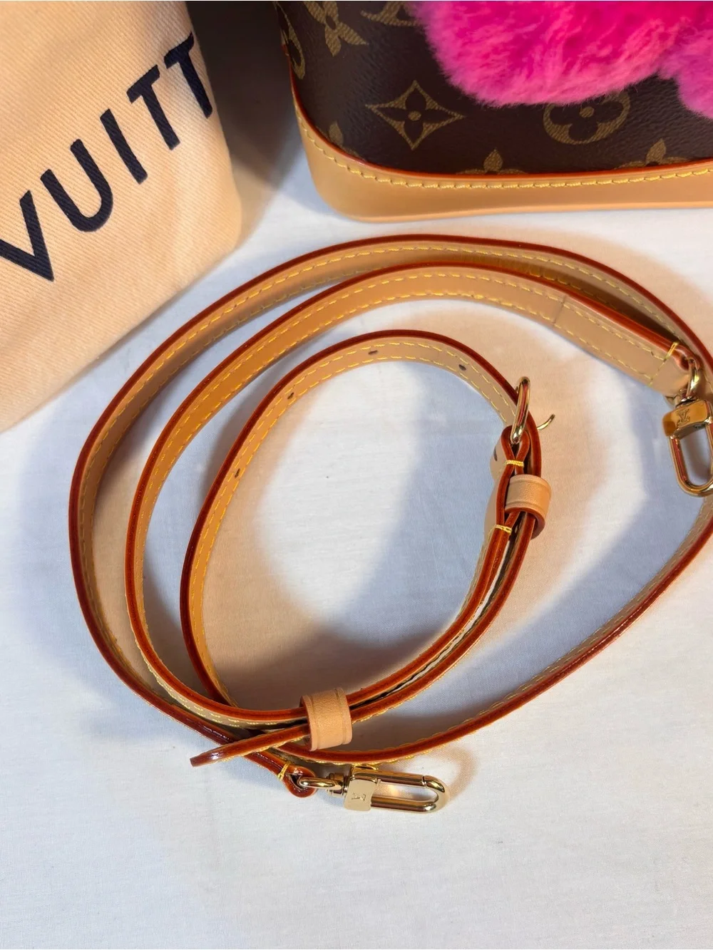 Louis Vuitton Noe Where Vivienne